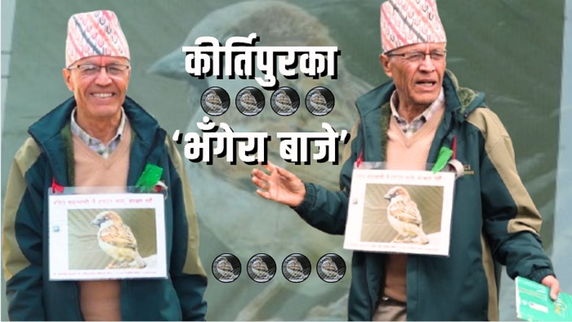 कीर्तिपुरका ‘भँगेरा बाजे’ : जो घर घरमा भँगेराको वासस्थान निर्माणमा सक्रिय छन्